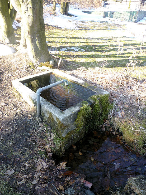 studánka Pod Farským kopcem (4412) - březen 2011