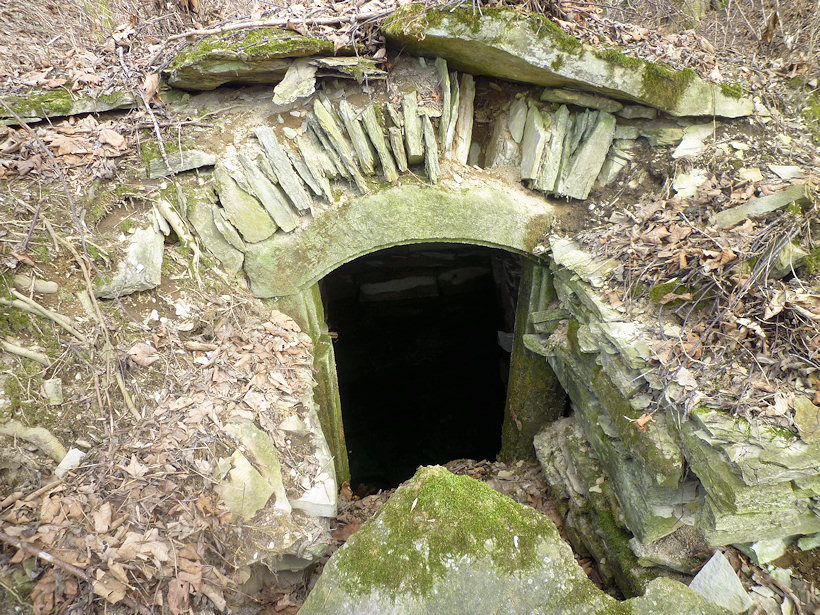 studánka Na Velké straně (4416) - březen 2011