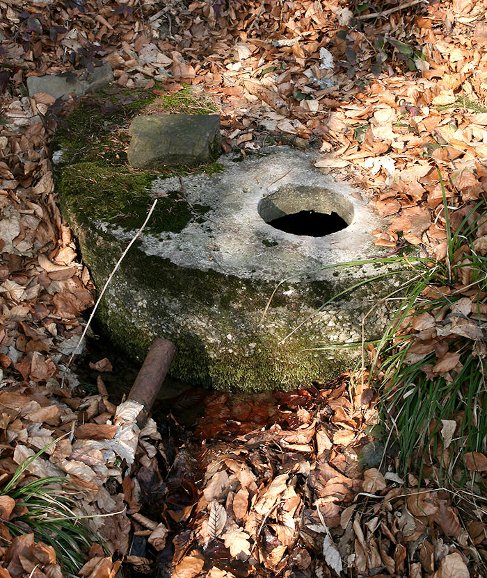 studánka Na Kopné (4426) - březen 2011