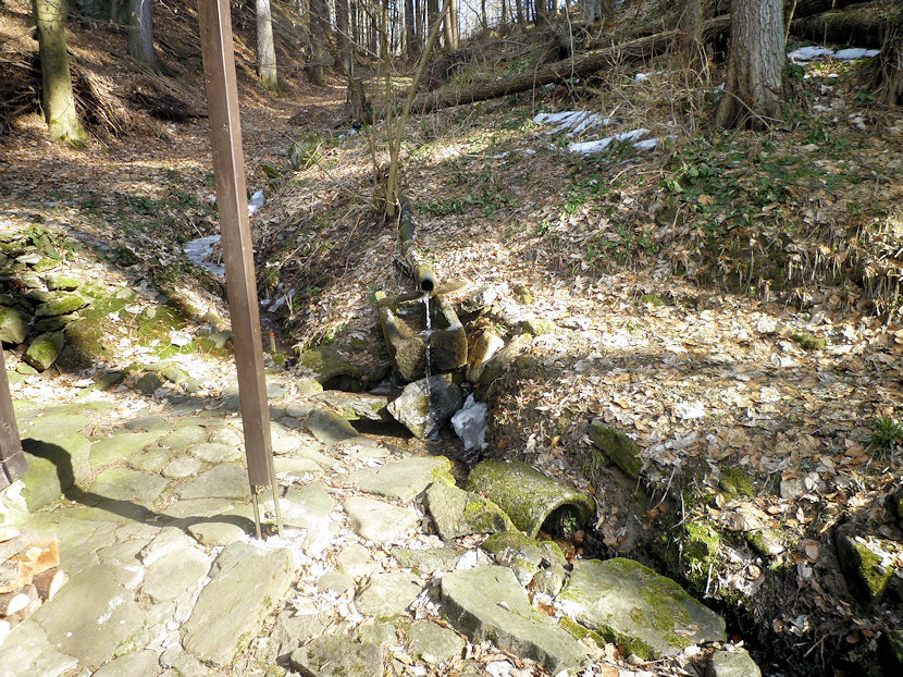 studánka Nad Lávkou (4429) - březen 2011