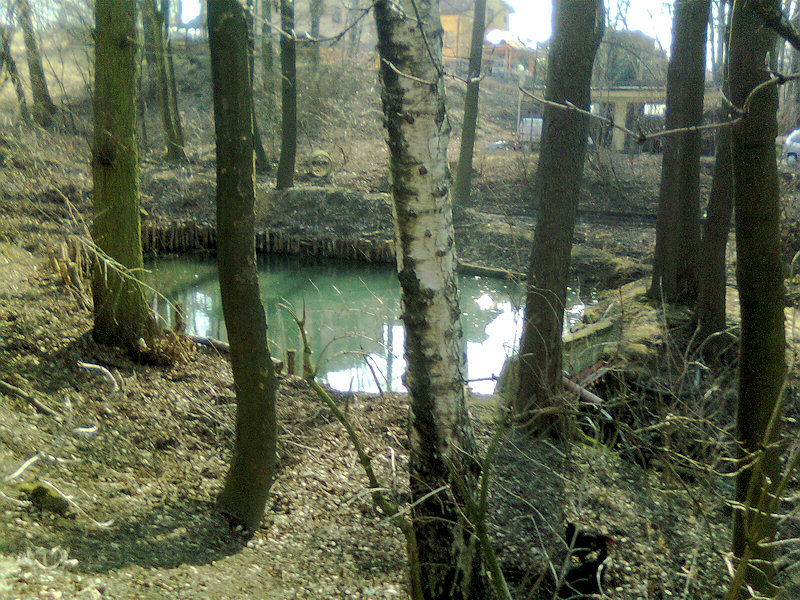 Václavův pramen (4435) - březen 2011
