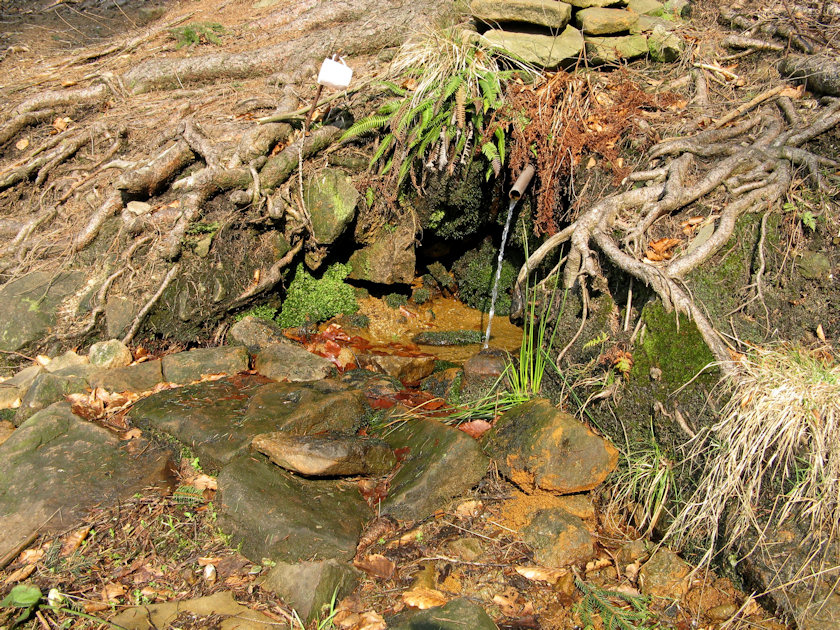 studánka Rohovec (4439) - březen 2011