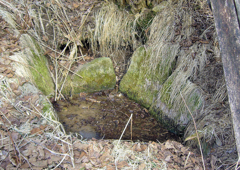 studánka bez jména (4441) - březen 2011