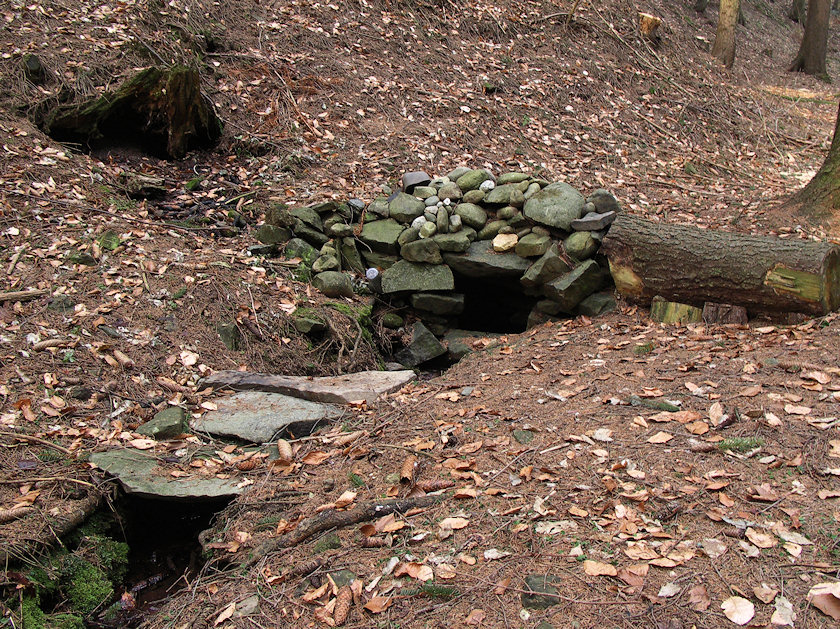 studánka U Nové cesty (4450) - březen 2011
