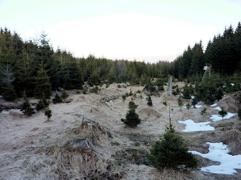 prameniště Pod Modrým kamenem (4451) - březen 2011