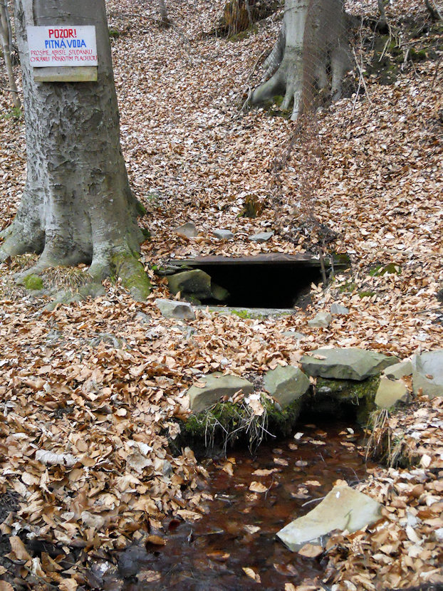 Studánka v Oklukách (4464) - březen 2011