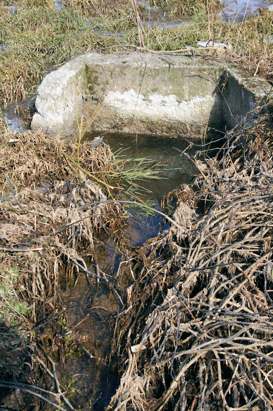 studánka bez jména (4465) - březen 2011