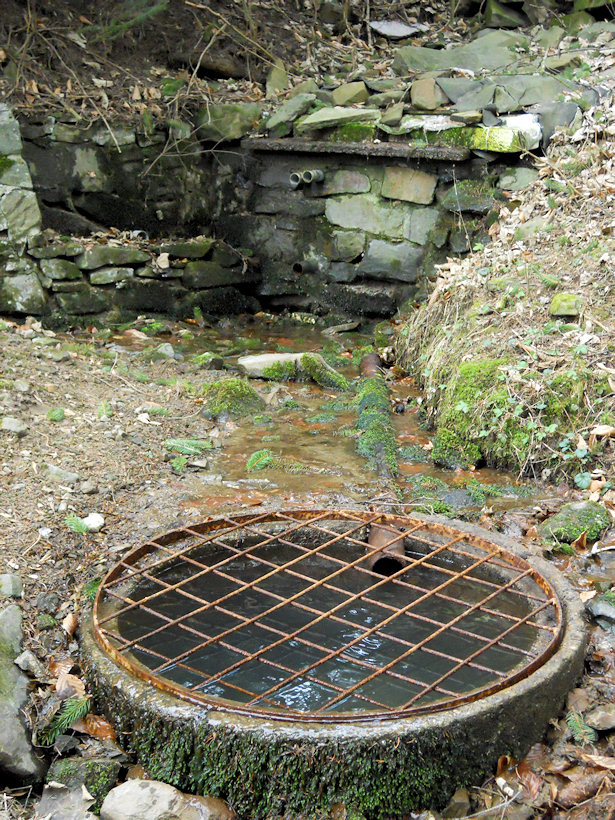 Kamenná studánka (4467) - březen 2011