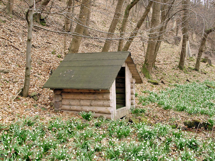 studánka Bledulka (4488) - duben 2011