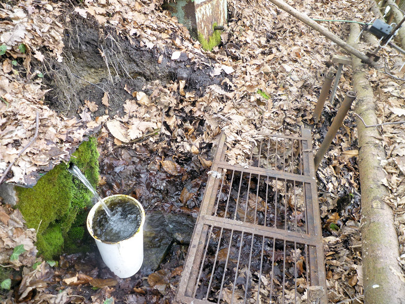 studánka Mílová 1 (4496) - duben 2011