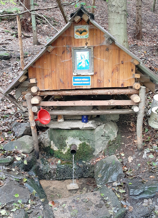 studánka bez jména (4512) - září 2022