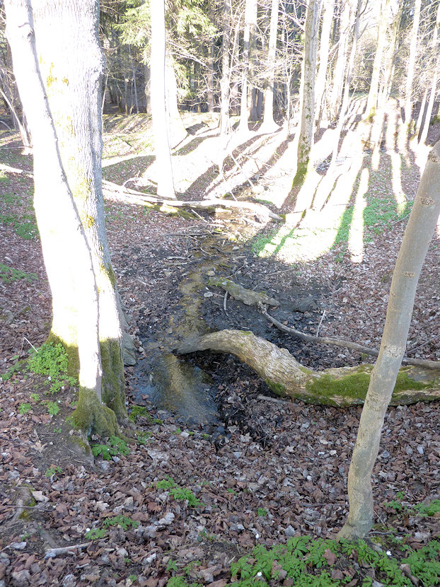 vyvěračka Perunova studánka (4520) - duben 2011