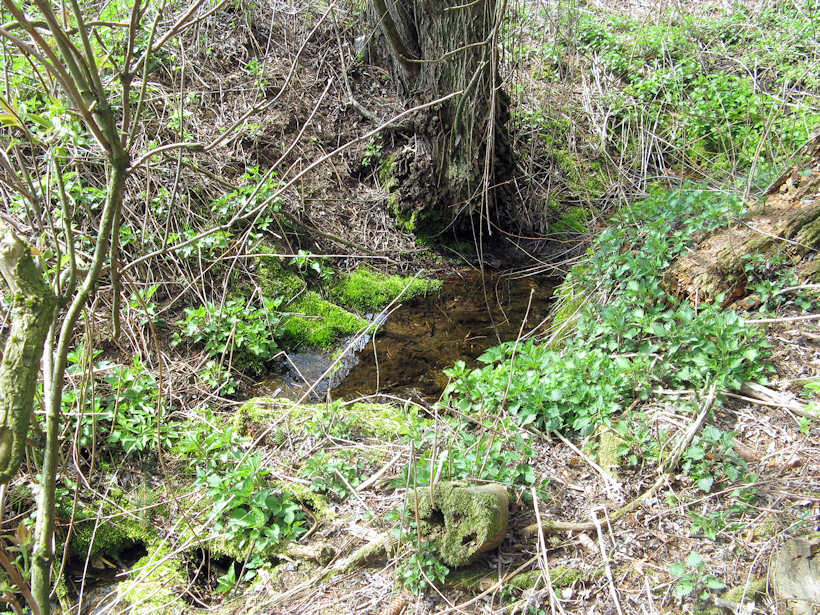 vedlejší pramen Žirovnice (4552) - duben 2011