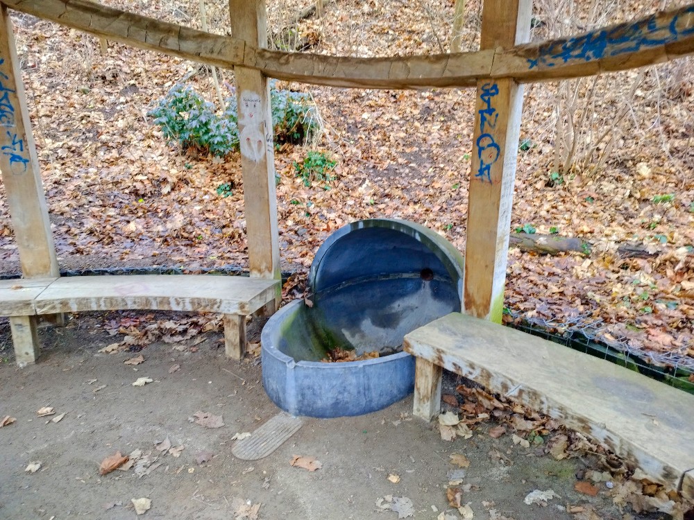 studánka U Interny (4554) - únor 2026