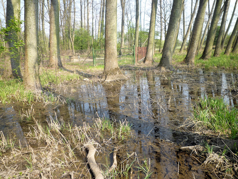 prameniště Zbytka (4559) - duben 2011