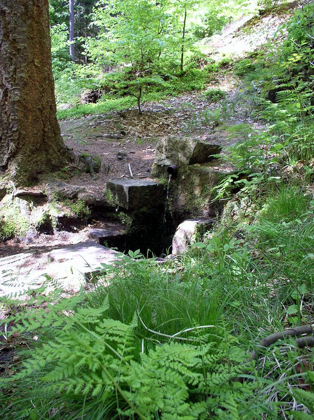 Kořenského pramen II (4587) - květen 2011