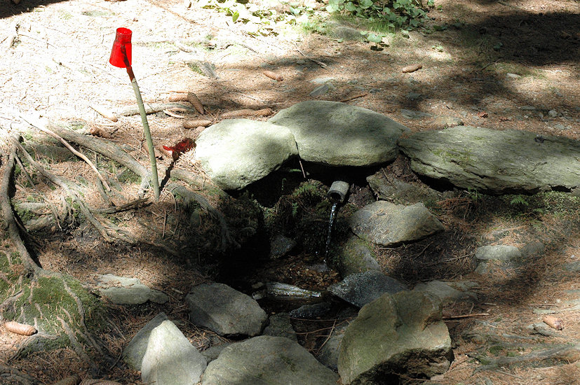 studánka Na dolíku (4592) - květen 2011