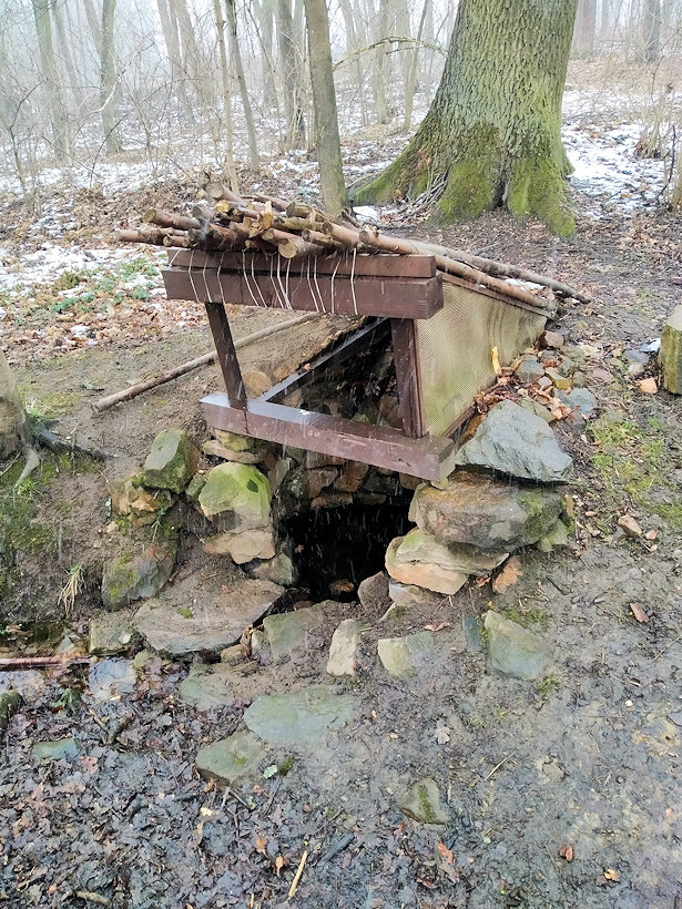studánka Mladovožická (4596) - březen 2021