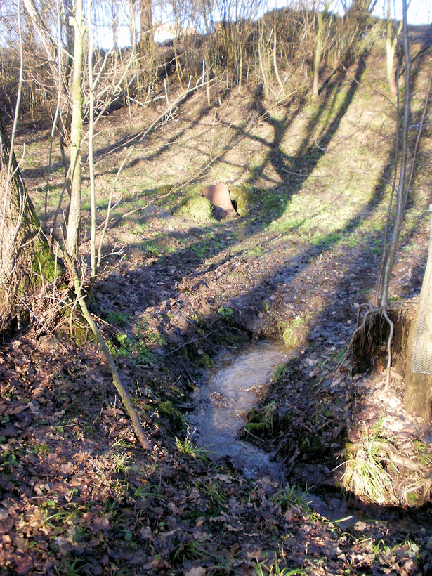 studánka bez jména (4597) - květen 2011