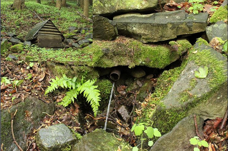 studánka U Mloka (4603) - květen 2011