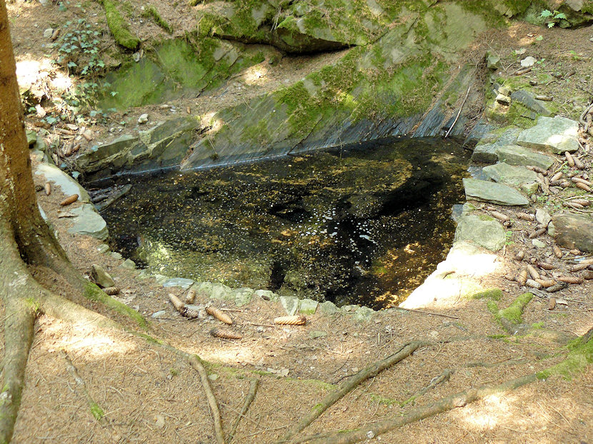 studánka U dvou studánek 2 (4608) - květen 2011