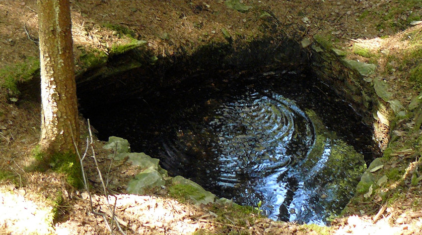 studánka U dvou studánek 1 (4609) - květen 2011