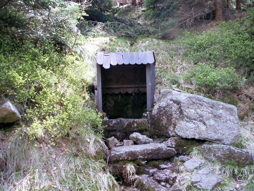 studánka U Hájeného potoka (4610) - květen 2011