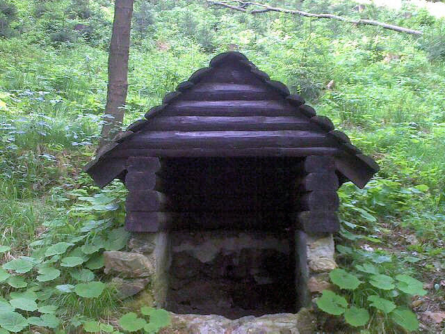studánka Nad nádražím (4624) - květen 2011