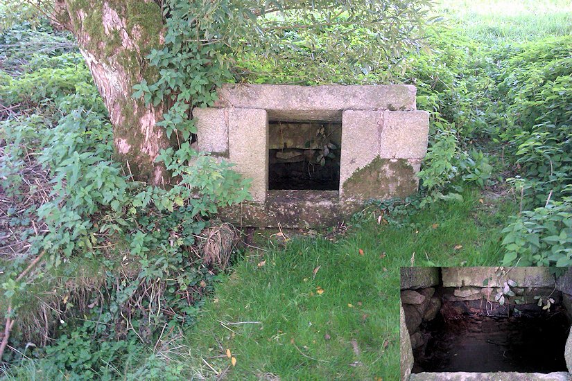 Studánka u Zemětic (4635) - květen 2011