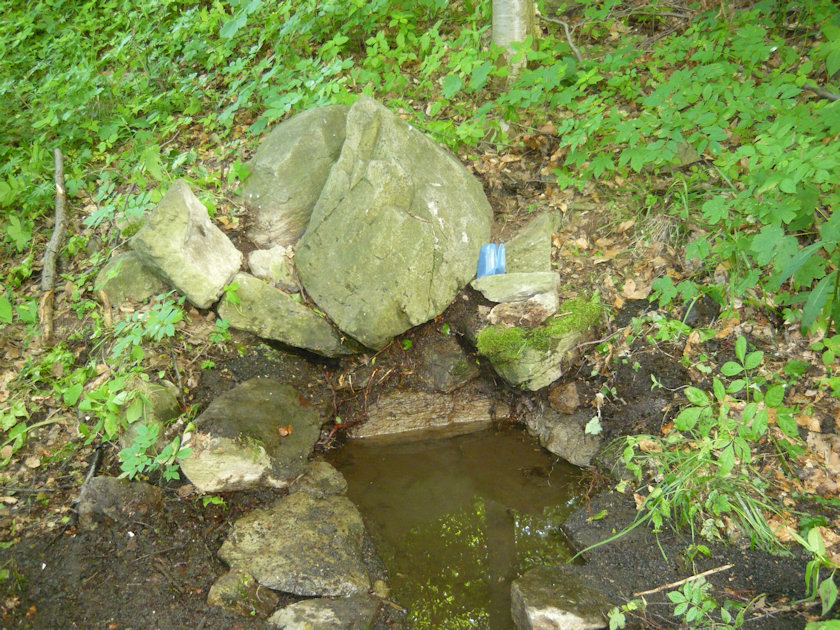 studánka Pod Kletečnou (4640) - květen 2011