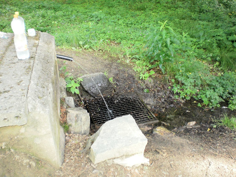 studánka Kojenecká (4643) - květen 2011