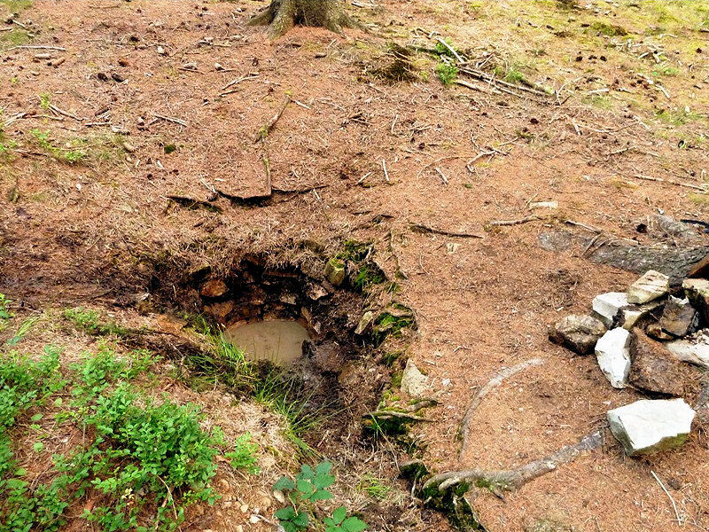 studánka bez jména (4654) - červen 2011
