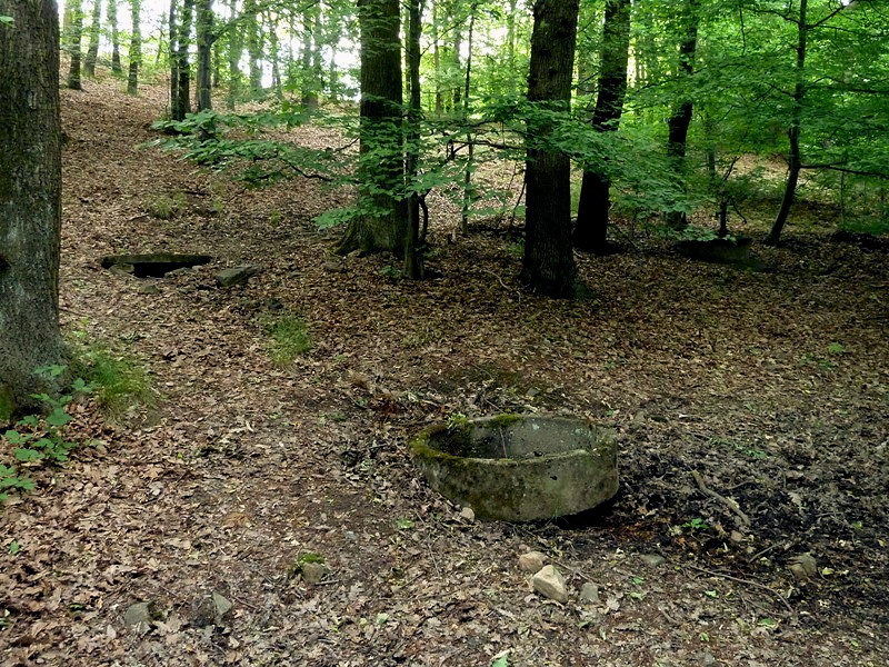 jiný vodní zdroj bez jména (4656) - červen 2011