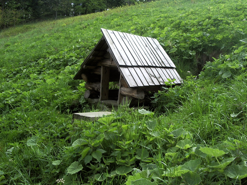 studánka bez jména (4658) - červen 2011