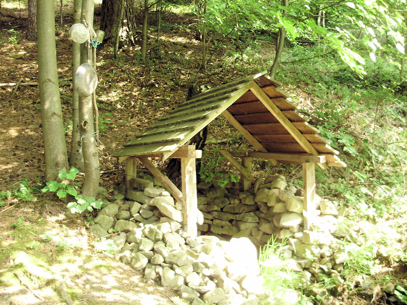 studánka bez jména (4666) - červen 2011