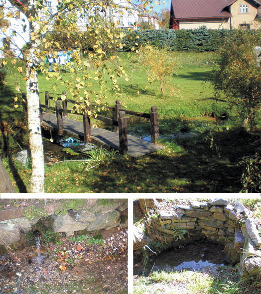 prameny v Jesenném (4687) - červen 2011