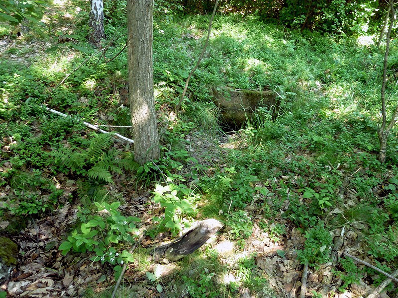 studánka bez jména (4689) - červen 2011