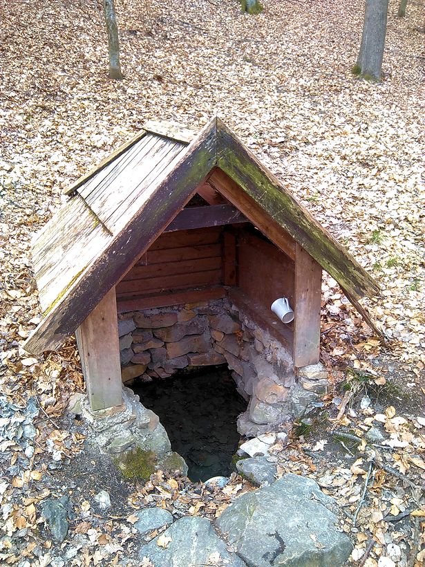 studánka Skalecká (4690) - červen 2011