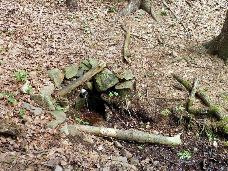 studánka Čtvrtá brána (4702) - červen 2011
