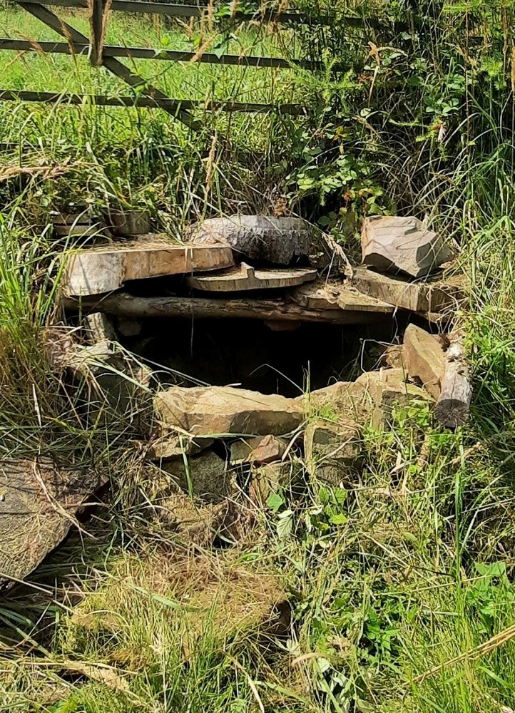 studánka Pod Kamennou (4711) - srpen 2025