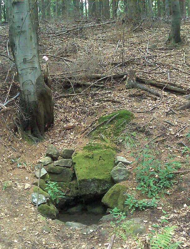 studánka Pod Suchým vrchem (4732) - červen 2011