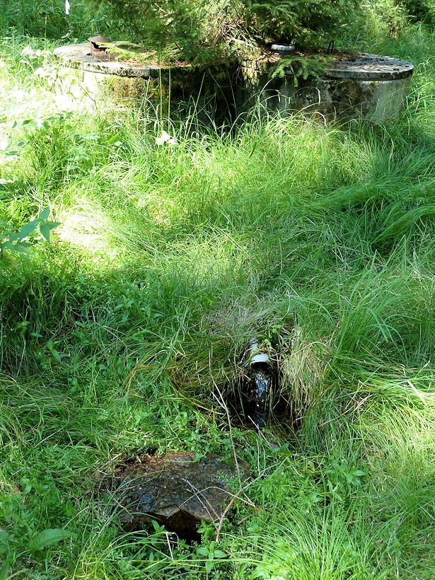 Třístudna (4737) - červen 2011