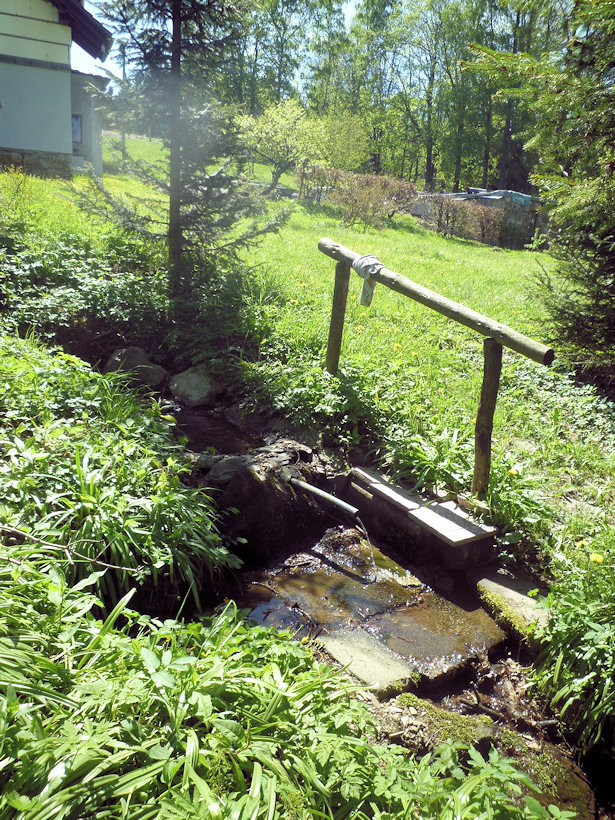 studánka Pod Homolí (4760) - červenec 2011