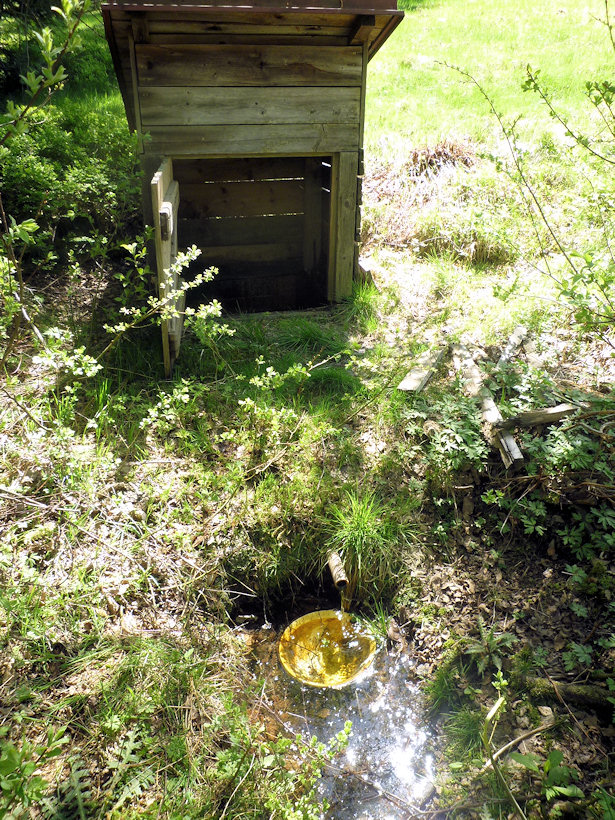 studánka Nad Hvězdnou (4763) - červenec 2011