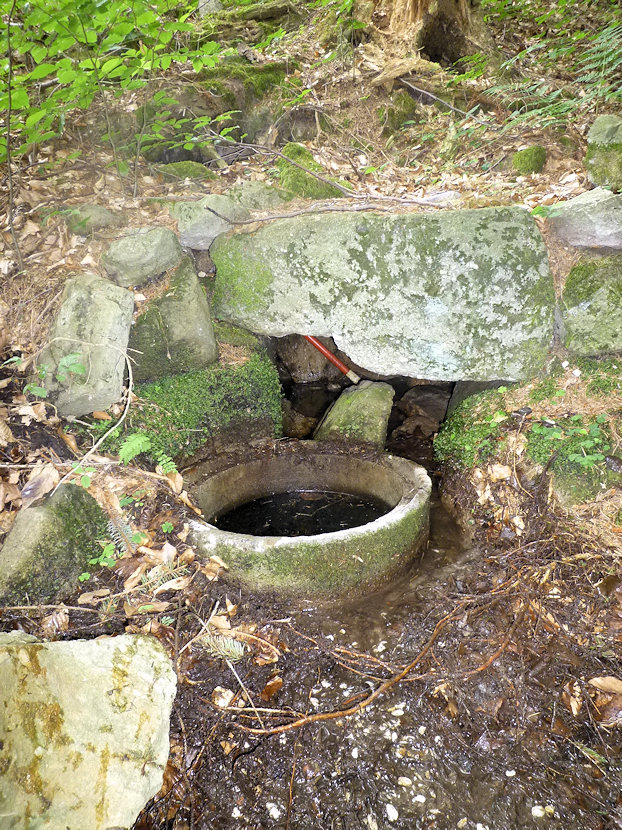 studánka Pod Zakopankou (4768) - červenec 2011