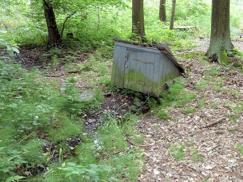 studánka bez jména (4778) - červenec 2011