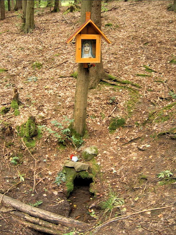 studánka Svatá voda (4780) - červenec 2011