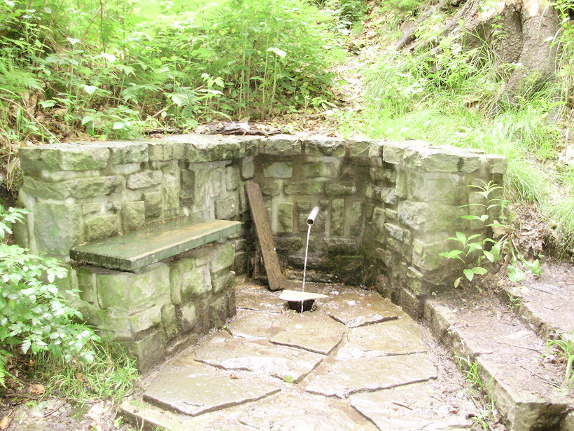pramen Bobčok I (4785) - červenec 2011