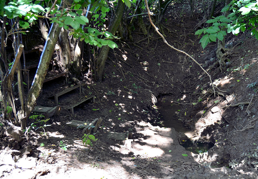 Kroutilova studánka (4796) - červenec 2011