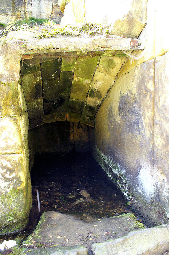 Skalní pramen (4799) - červenec 2011